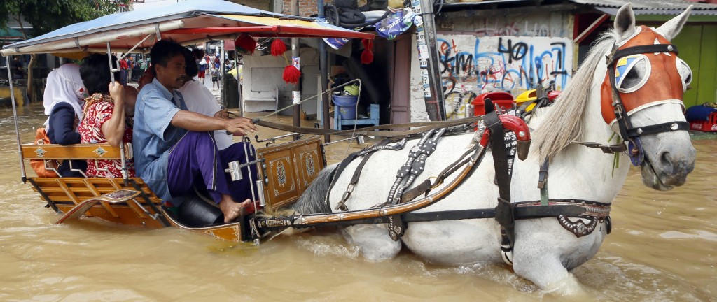 epa04018400 Residents ride on a horse-drawn carriage through floodwaters in Jakarta, Indonesia, 13 January 2014. Dozens of villages of 18 districts in Jakarta are flooded with water due to rain since last 11 January and caused more than 5,000 people to evacuate. According to the Extreme Weather Sub Division of the Meteorology and Geophysics Agency, the highest precipitation is predicted to occur in the end of January until early February, 2014. EPA/ADI WEDA